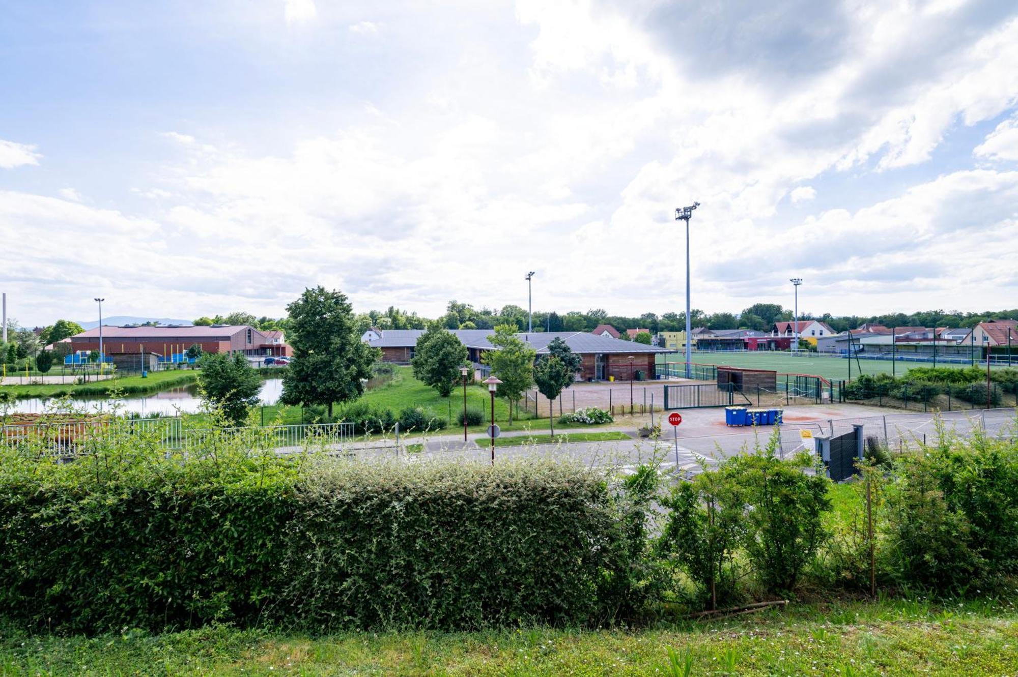 Appartamento Chez Virgil - Terrasse Vue Degagee, Parking Prive Ernolsheim-Bruche Esterno foto